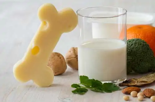 prevenir la osteoporosis prevenir la osteoporosis
