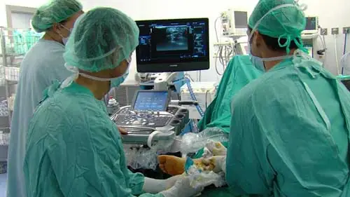 Liberación simultánea del síndrome del túnel del tarso y sus ramas nerviosas El equipo del Dr. Villanueva, especialista en la liberación simultánea del síndrome del túnel del tarso y sus ramas nerviosas